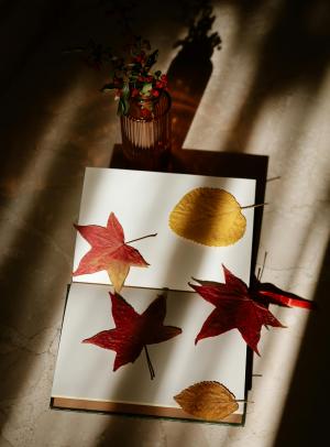 leaves for neighborhood art