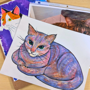 Portraits of a cat in various media.