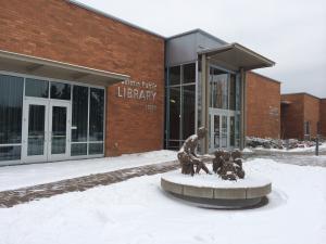 Snowy Library
