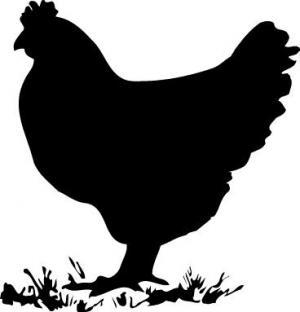 chicken silhouette