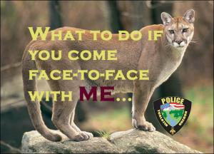Tualatin Police Cougar Sighting