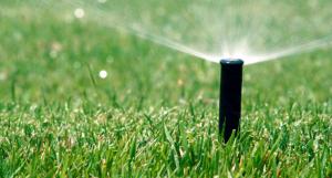 Image of a lawn irrigation sprinkler head in action. 