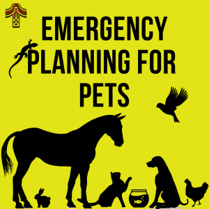 Are Your Pets Prepared