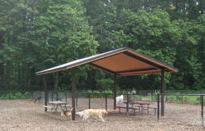 Dog park shelter
