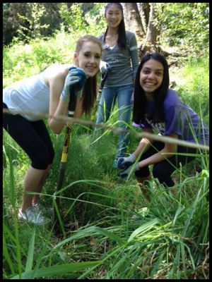 The City of Tualatin Oregon Official Website