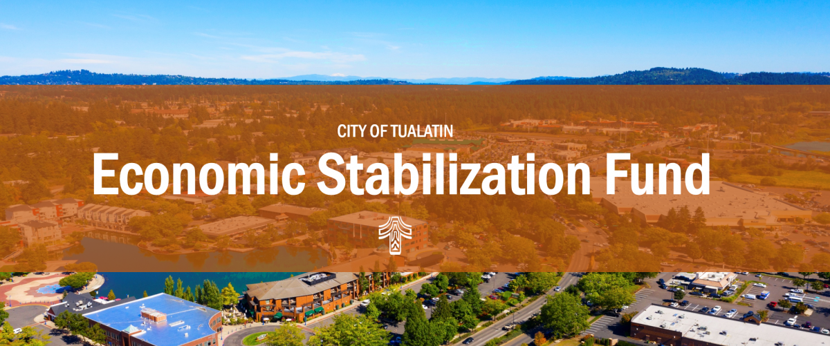 Economic Stabilization Fund