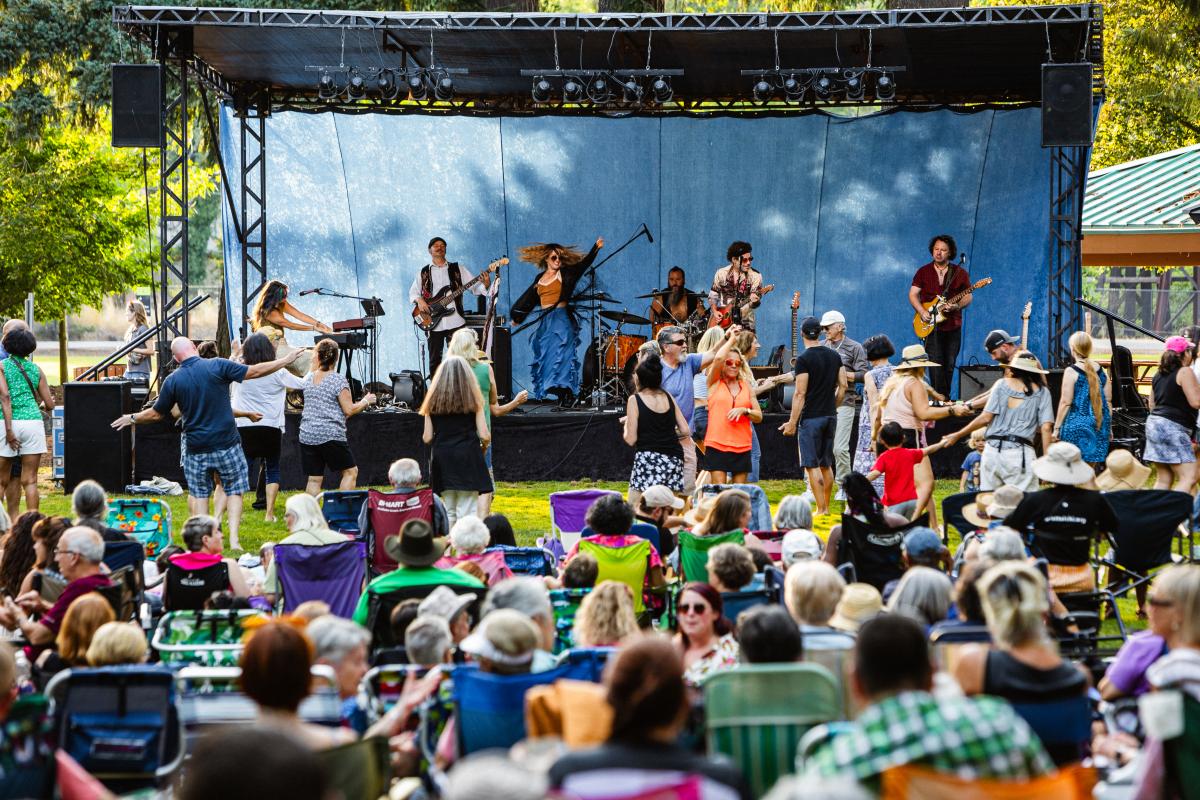 picture of people dancing at a concert