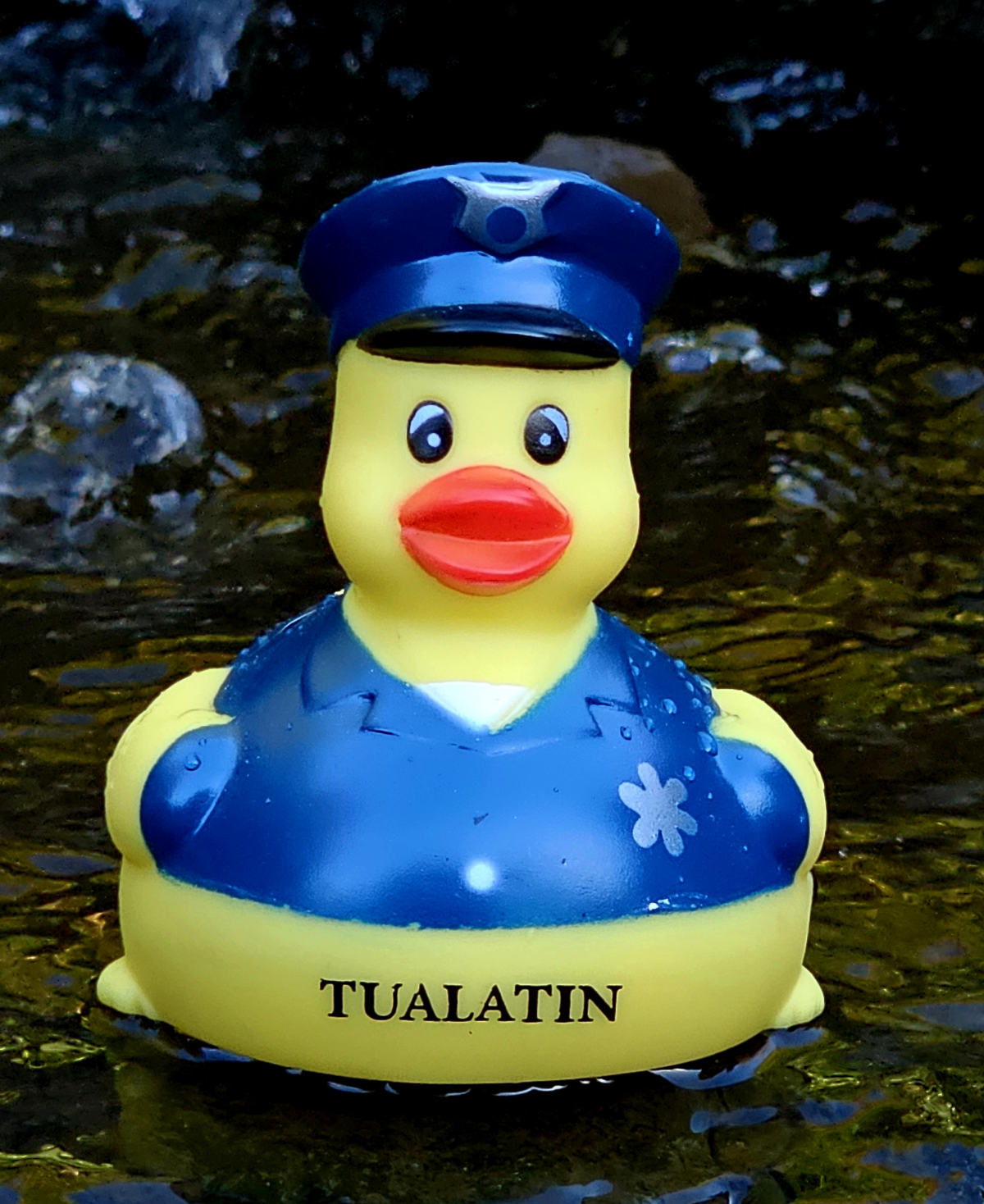 Officer R. Ducky Toy