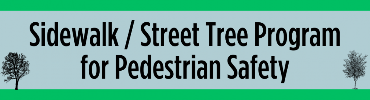 Sidewalk Street Tree Program for Pedestrian Safety