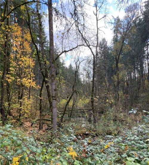 Are You A Resident Of The Basalt Creek Area The City Of Tualatin Oregon Official Website