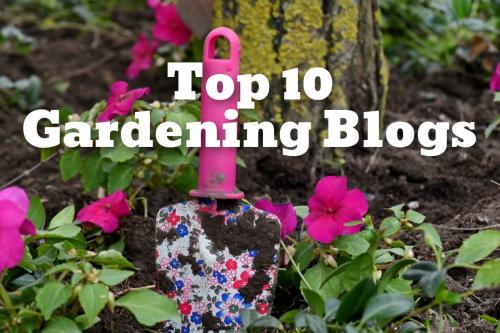 Top Ten Gardening Blogs The City Of Tualatin Oregon Official Website