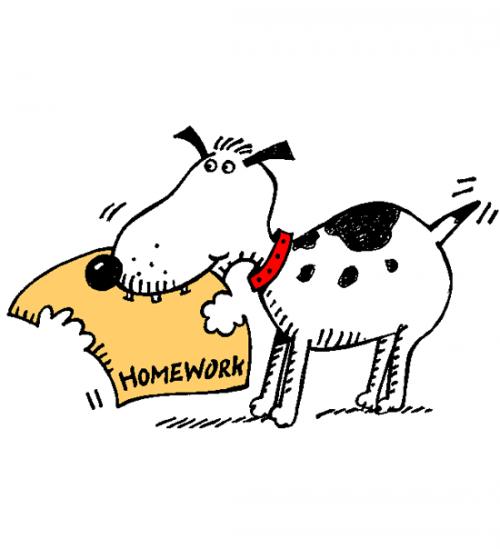 Homework help website