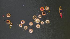 Arial of the Regatta